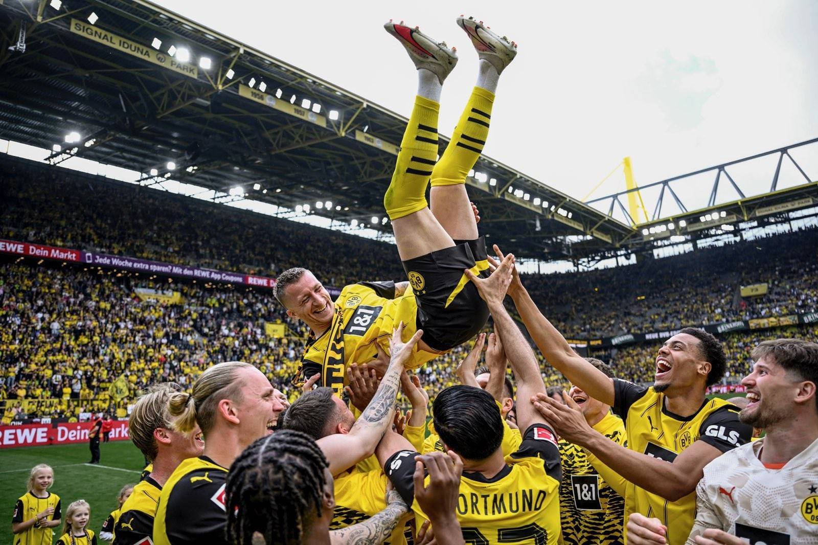 包含多特蒙德主场逼平，德国足球联赛积分榜上升的词条