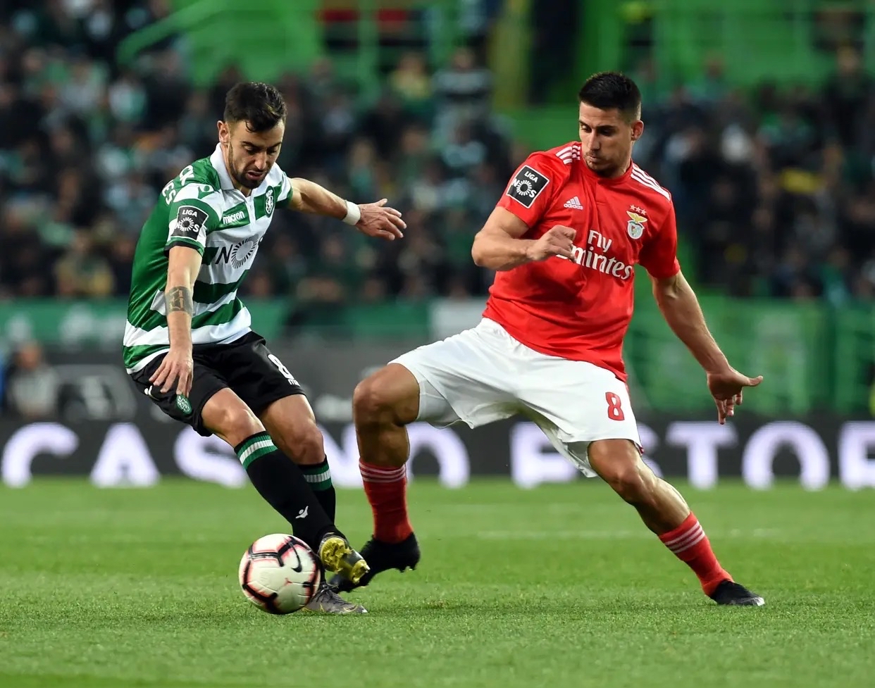 包含葡萄牙主场大胜，稳坐小组头名位置的词条